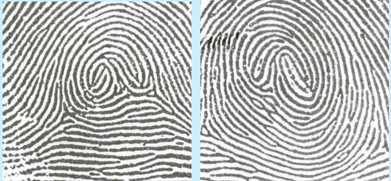 <p>an arch with any other pattern</p>