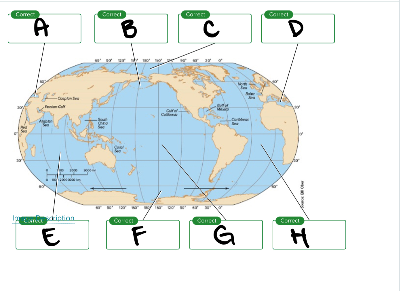 <p>Looking at the major oceans, what is D?</p>