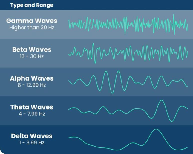 <p>during normal waking consciousness; doing normal awake conscious things</p><p>awake </p><p>13 - 30 Hz</p>