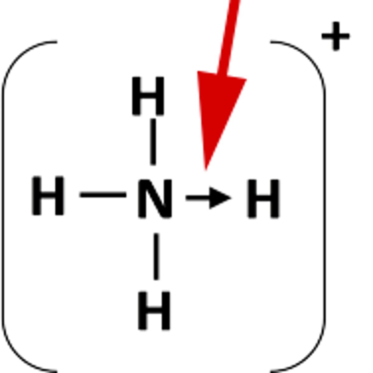 <p>arrow = N is giving electrons in a dative bond</p>