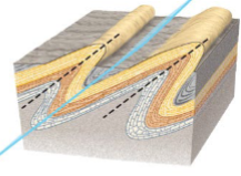 <p>Have limbs that dip in the same direction, but one limb has been tilted beyond the vertical</p>