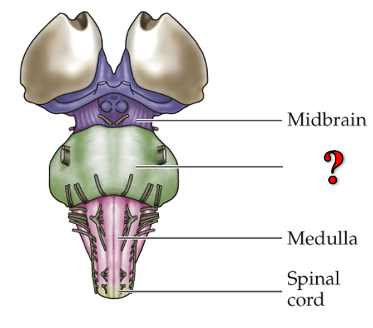 <p>?</p>