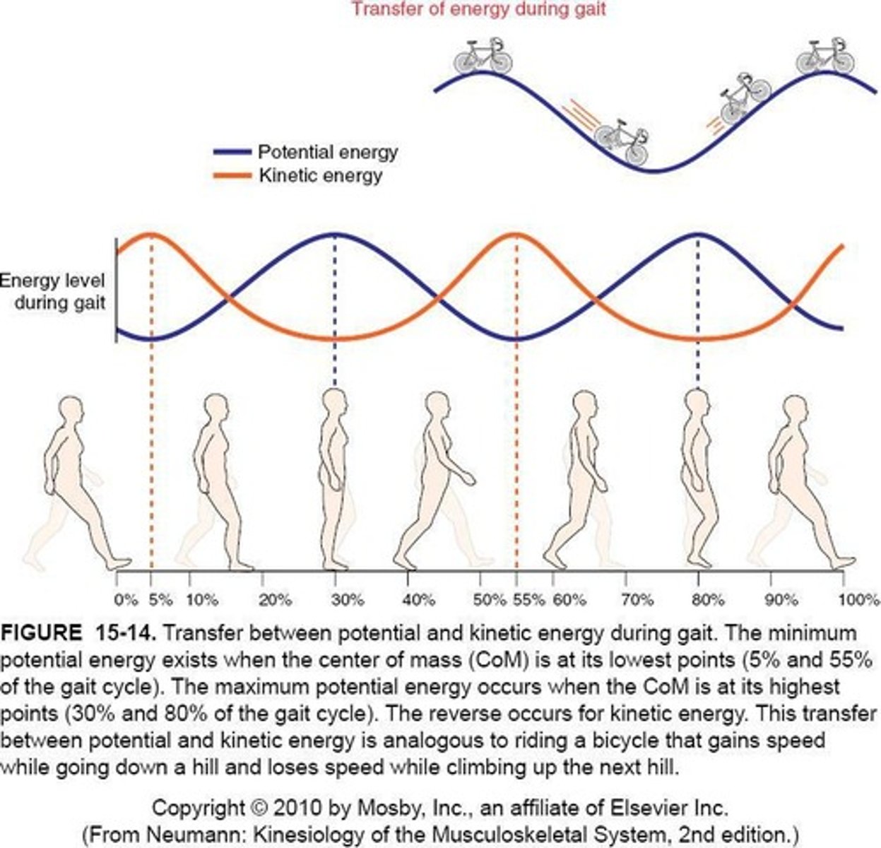 <p>Is highest, while kinetic energy is lowest.</p>