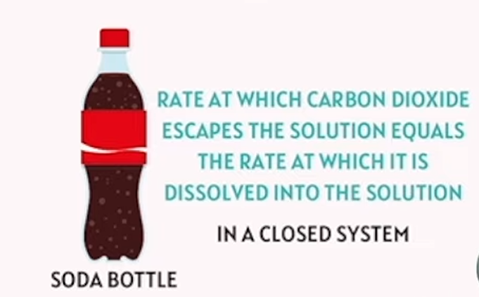 <p>the forward and reverse reactions are occurring at the same time</p>