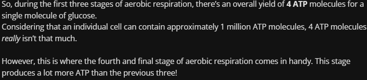 <p><strong><br>Glycolysis: </strong>2 ATP molecules break down in the first step but 4 ATP molecules are produced in total in the third step. Therefore, there’s an overall yield of <strong>2 ATP </strong>molecules.</p><p><strong>Krebs cycle: </strong>During each cycle, 1 ATP molecule is produced. As two cycles take place for a single molecule of glucose, there’s an overall yield of <strong>2 ATP</strong> molecules.</p>