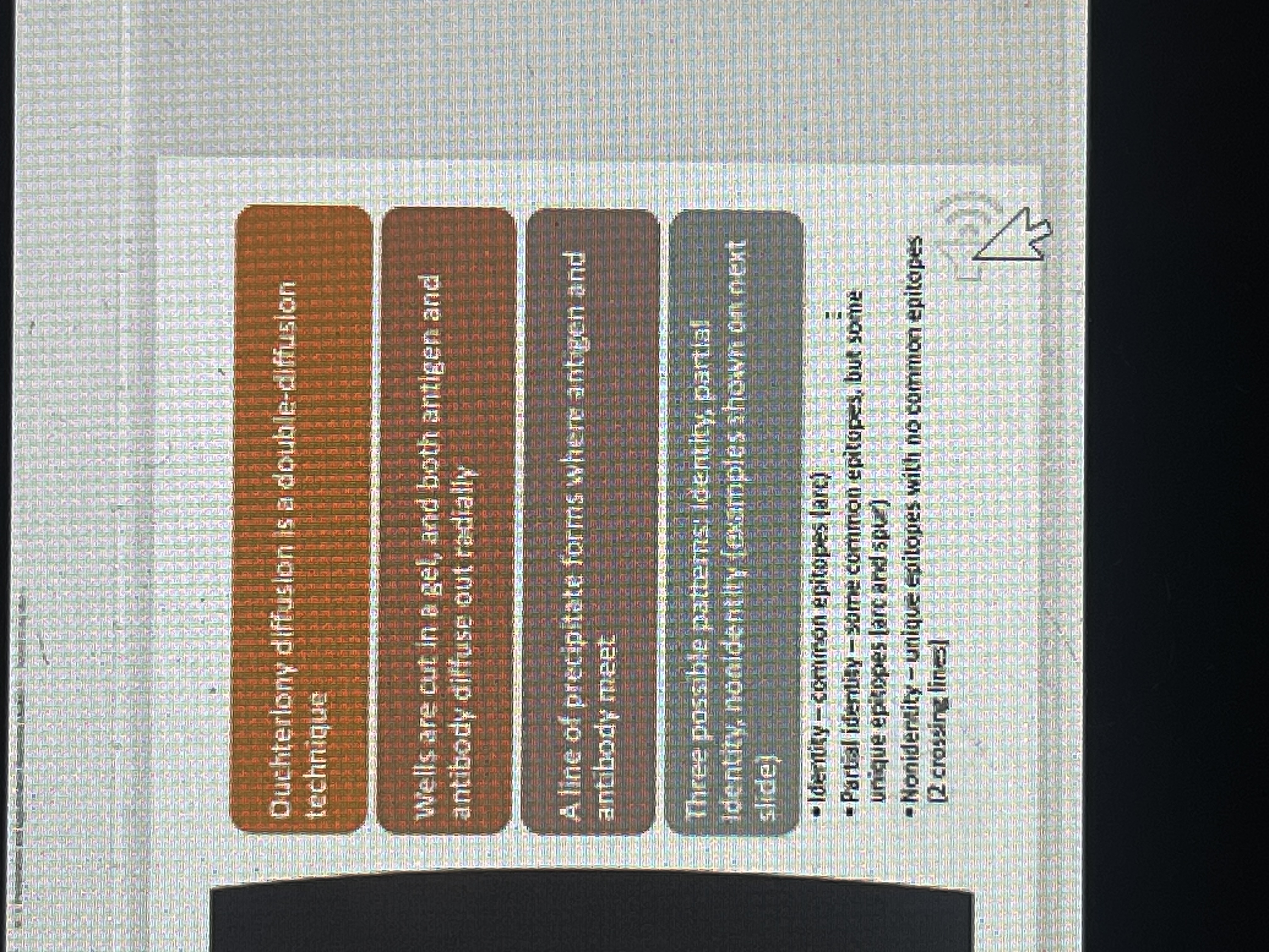 knowt flashcard image