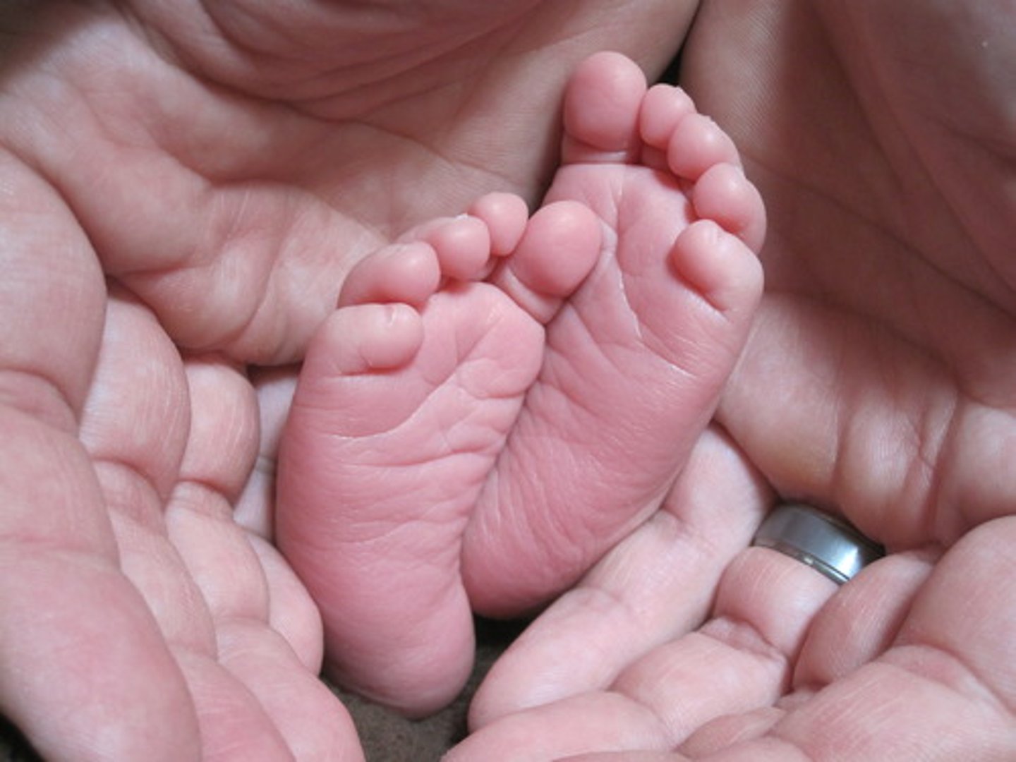 <p>finger, toe, digit</p>