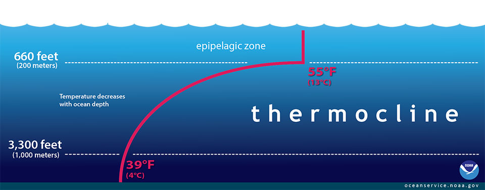 a layer in a large body of water, such as a lake, that sharply separates regions differing in temperature, so that the temperature gradient across the layer is
abrupt.