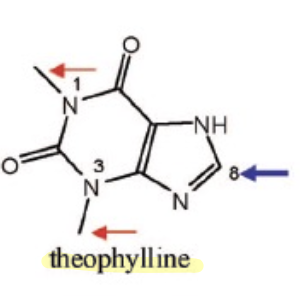 <p>Name Enzyme&nbsp;</p>