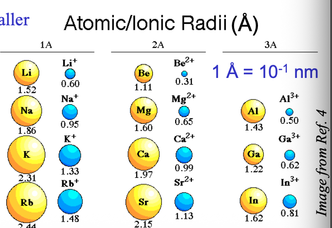 <p>Number of protons are MORE than the number of electrons in the cation, so the electrons are pulled CLOSER to the nucleus → makes it smaller </p>