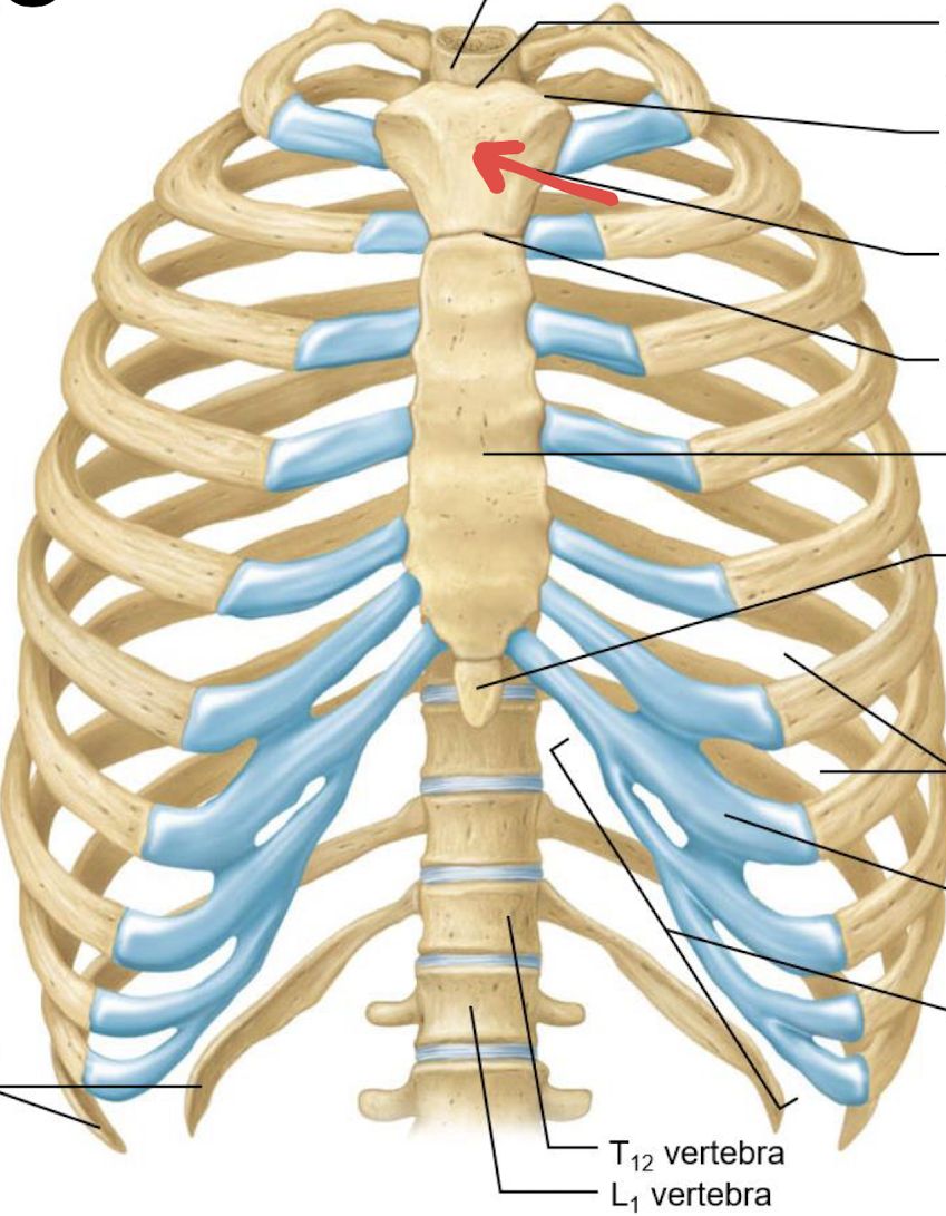 <p>what is this?</p>