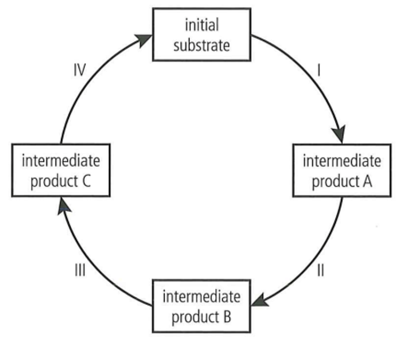 <p>A series of metabolic reactions which begin and end with the same substance.</p><p>An example is the Krebs cycle as part of respiration. It begins and ends with the same 4-carbon compound. Another example in photosynthesis is the Calvin cycle which begins and ends with the same 5-carbon compound.</p>