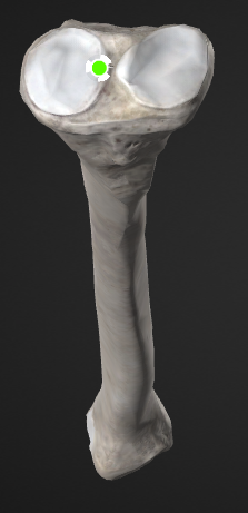 term image