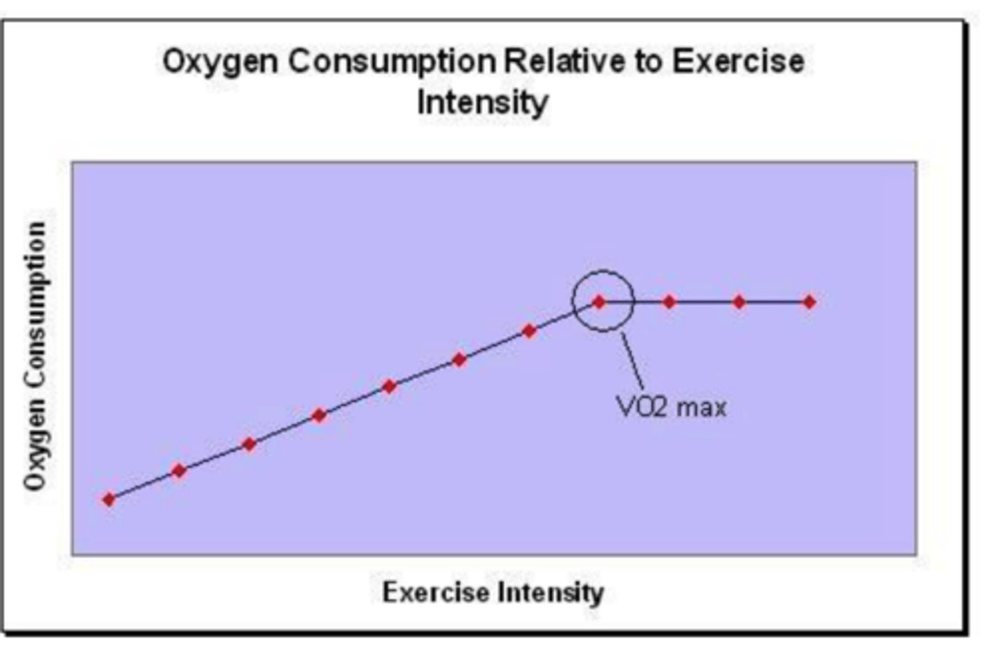 lance armstrong vo2