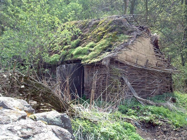 <p>masure</p>