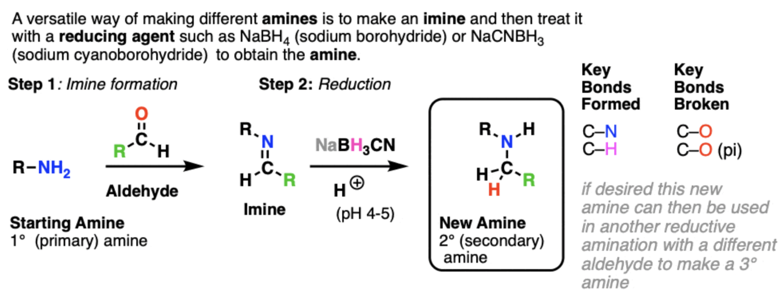 <ol><li><p>amine → imine through imine/Schiff base formation</p></li><li><p>reduction (e.g. with NaBH4 or LiALH4)</p></li></ol>