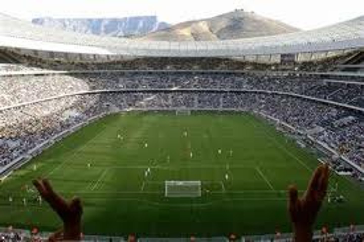 <p>to attend a soccer game</p>