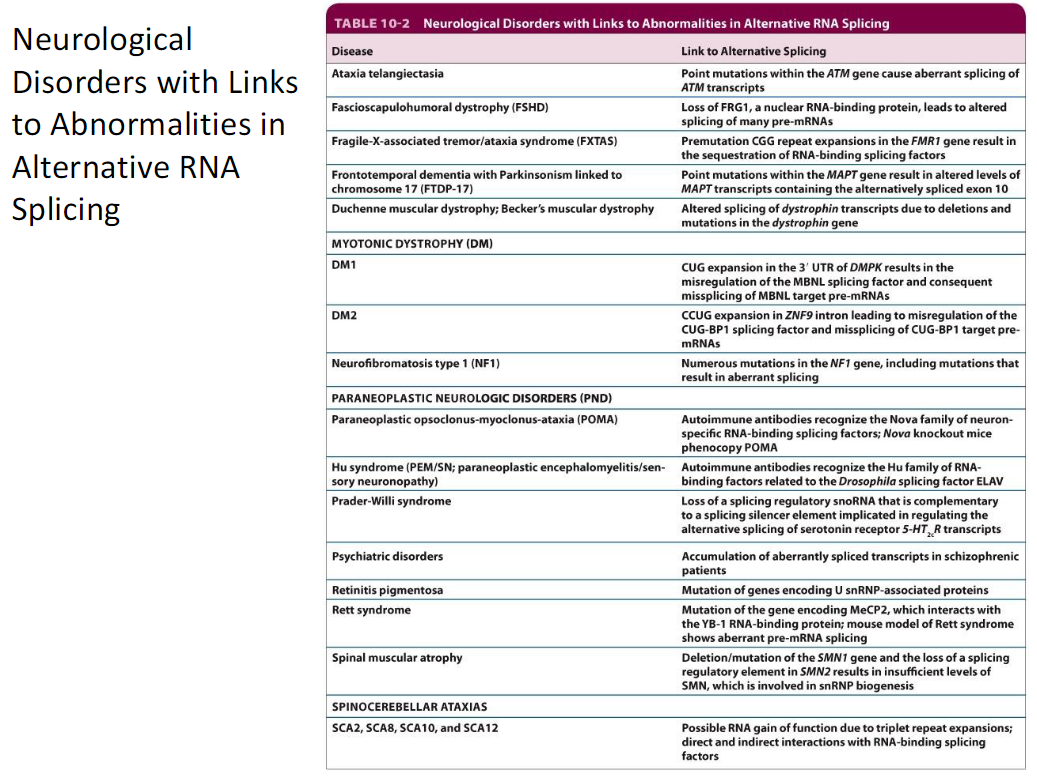 <p><strong>Diseases</strong><br> Ataxia telangiectasia<br> Facioscapulohumeral dystrophy (FSHD)<br> Fragile-X-associated tremor/ataxia syndrome (FXTAS)<br> Frontotemporal dementia with Parkinsonism linked to chromosome 17 (FTDP-17)<br> Duchenne muscular dystrophy; Becker's muscular dystrophy<br> Myotonic dystrophy (DM1, DM2)<br> Neurofibromatosis type 1 (NF1)<br> Paraneoplastic neurologic disorders (PND)<br>  Paraneoplastic opsoclonus-myoclonus-ataxia (POMA)<br>  Hu syndrome (paraneoplastic encephalomyelitis/sensory neuronopathy)<br> Prader-Willi syndrome<br> Psychiatric disorders<br> Retinitis pigmentosa<br> Rett syndrome<br> Spinal muscular atrophy<br> Spinocerebellar ataxias (SCA2, SCA8, SCA10, SCA12)</p>