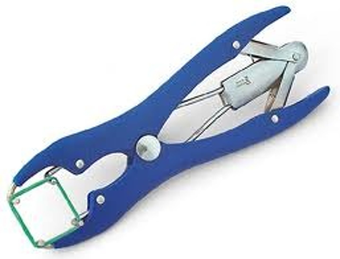 <p>A device used in bloodless castration and in the docking of tails of livestock, accomplished by applying a small strong rubber band.</p>