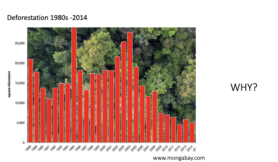 <ul><li><p>Dramatic decline in deforestation</p></li></ul><p></p>