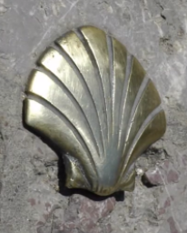 <p>Meaning of mollusk shell in medieval art</p>