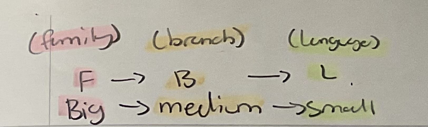 <ul><li><p>Romance branch= Spanish, French, Italian, Portuguese, Romanian. (Evolved from Latin, Roman Empire.)</p></li><li><p>Germanic branch= English, German, Dutch Swedish, danish, Norwegian, Icelandic. (Germanic tribes, northern Europe.[English is a west Germanic language])</p></li></ul><p></p>