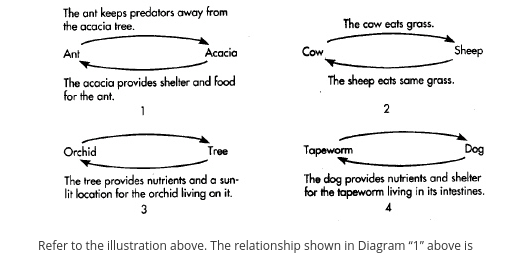 <p>The diagrams below show different kinds of interactions between species.</p>