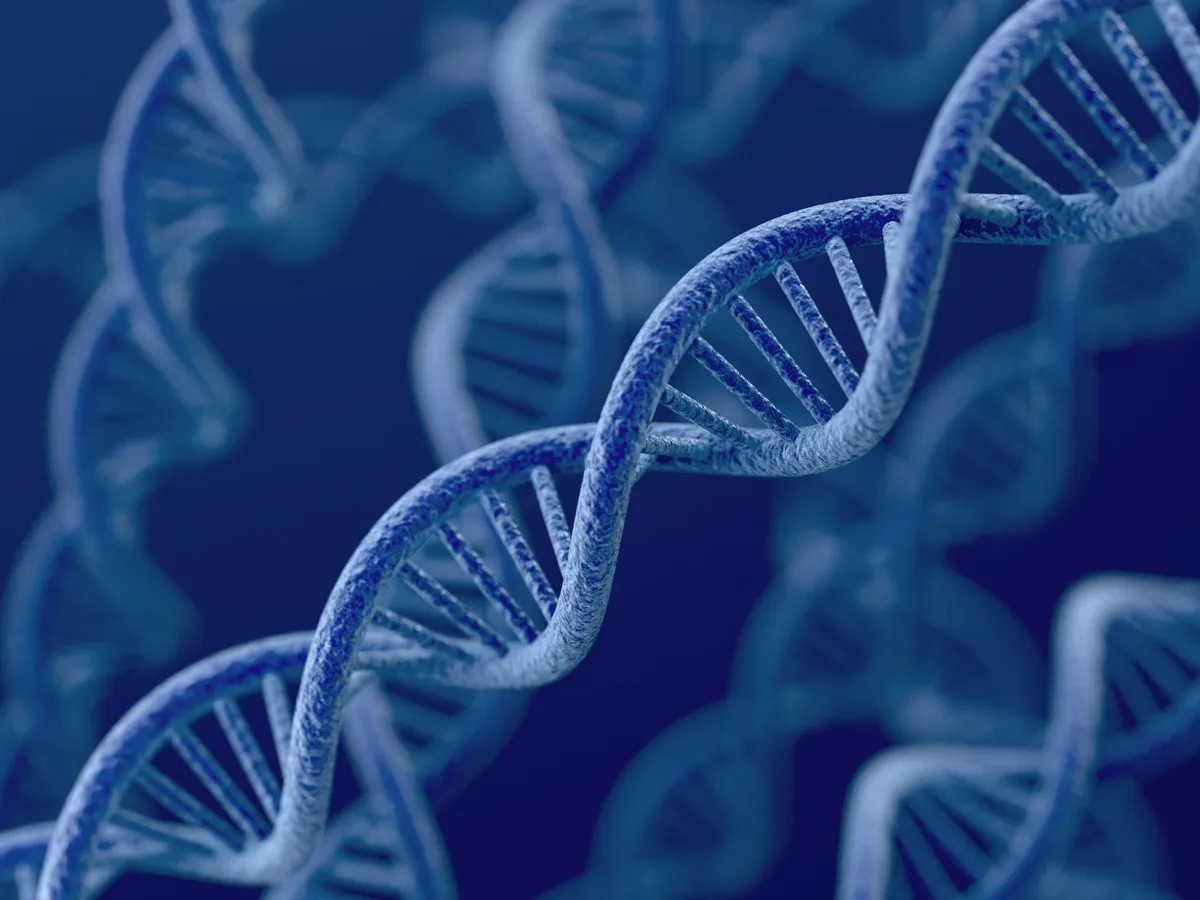 Bildung des DNA, RNA, ATP und einige Aminosäuren