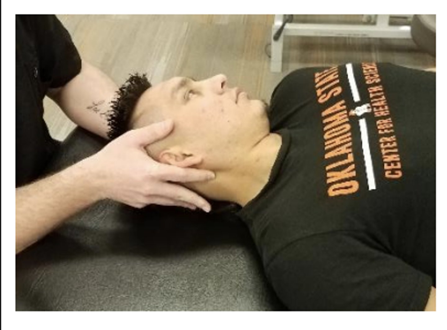 <p>f SaRA</p><p>AC1 mandible = lots of rotation</p>