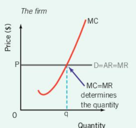 <p>Perfect Competition: Profits and Losses (Short Run) </p><p>firms maximize profits when they produce at the level of output where</p>