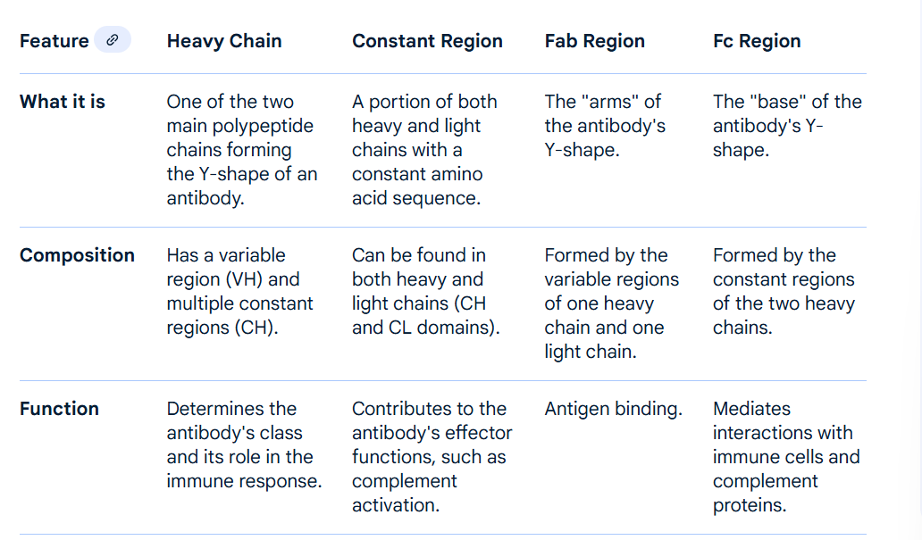 <p>the constant region ma include some of the light chains&nbsp;</p><p><em>so the Fab is above the hinge, heavy and light, with constant and variable regions. but the fc is below the hinge, only heavy and only constant?</em></p>