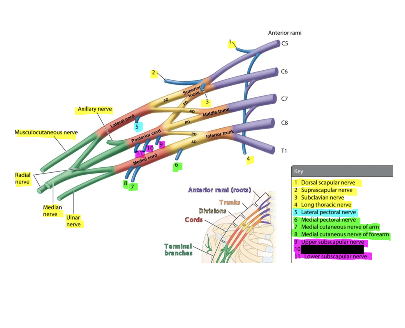 knowt flashcard image