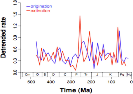 <p class="MsoListParagraphCxSpLast">Origination rates increase after extinctions as empty ecological niches are filled</p><p class="MsoListParagraphCxSpLast">After the end of the cretaceous extinction mammals diversified, rapidly increasingly in average size filling many of the niches vacated by dinosaurs</p>
