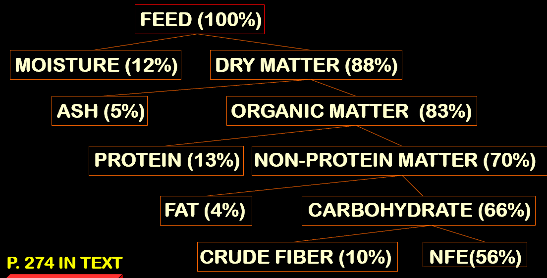 <ul><li><p>Need to memorize this chart!</p></li><li><p>NFE = Nitrogen-Free Extract</p></li></ul><p></p>