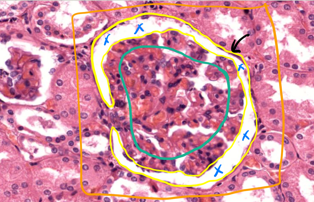 <p>What’s in black?</p>