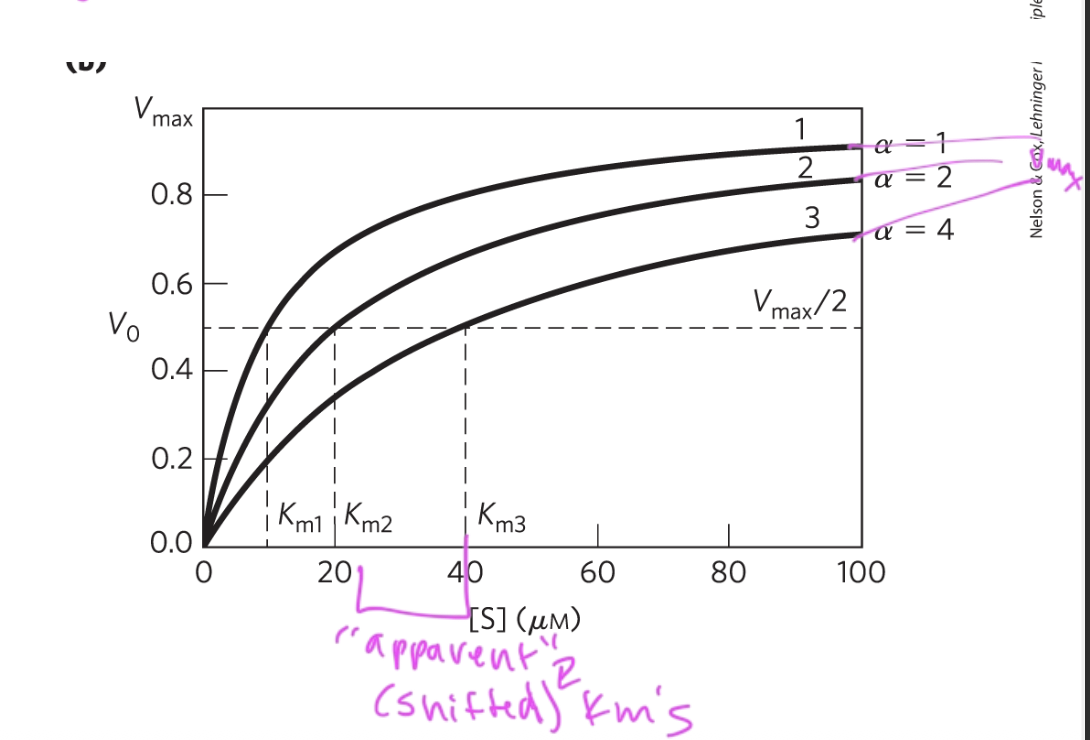 <p>incr Km, since the inhibitor decr enzyme affinity for substrate (so more substrate is needed to obtain the same rxn rate)</p><p>but all values still reach the same vmax, which is unchanged</p>