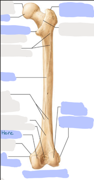 <p>What is here?</p>