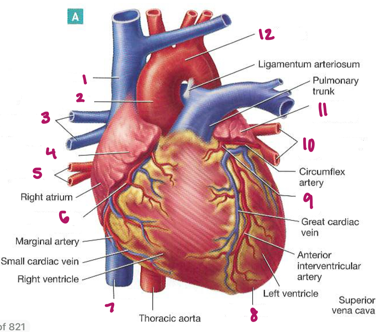 <p>Label figure 6.</p>