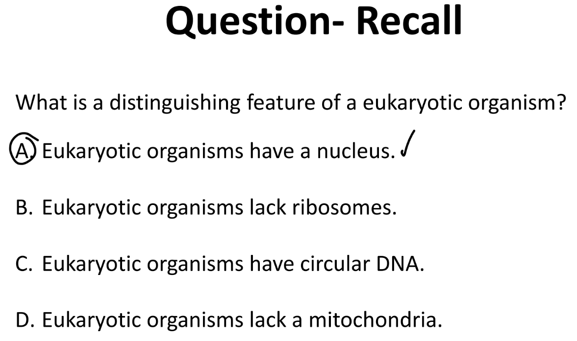 <p>they have a NUCLEUS! </p>