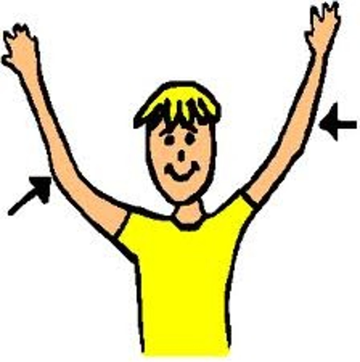 <p>arms</p>