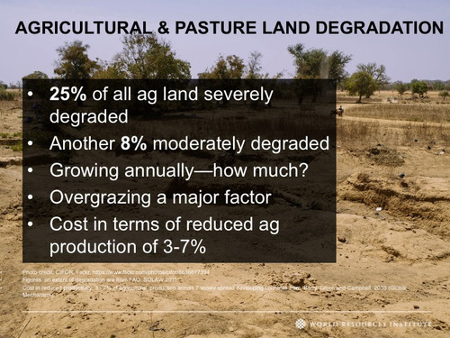 <p>the loss of some or all of a soil's ability to support plant growth.</p>