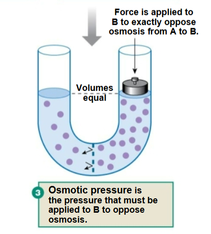 <p>Osmotic pressure</p>