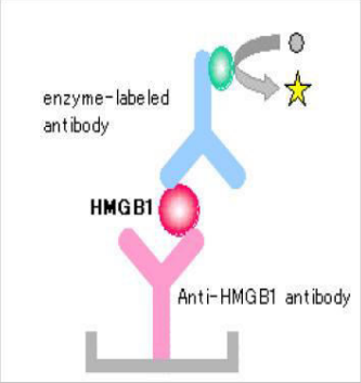 <p>direct detection of viral antigen by ELISA </p><p>color change is detected by spectrophotometer</p><p>Direct detection of P24 antigen</p>