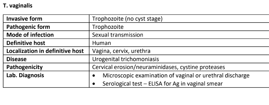 <ol><li><p>Trophozoite in vaginal, prostatic secretions and urine</p></li><li><p>Trophozoite reproduces by longitudinal binary fission</p></li><li><p>Spread through sexual intercourse (no intermediate host)</p></li><li><p>Trophozoites move to the vagina or urethra of new host</p></li><li><p>The disease name is Trichomoniasis </p></li></ol><p></p>