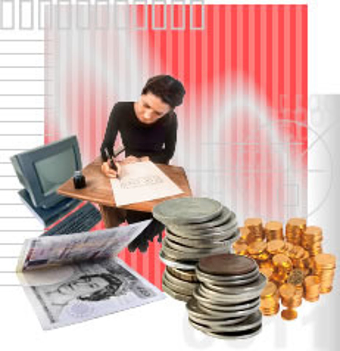 <p>an accountant</p>