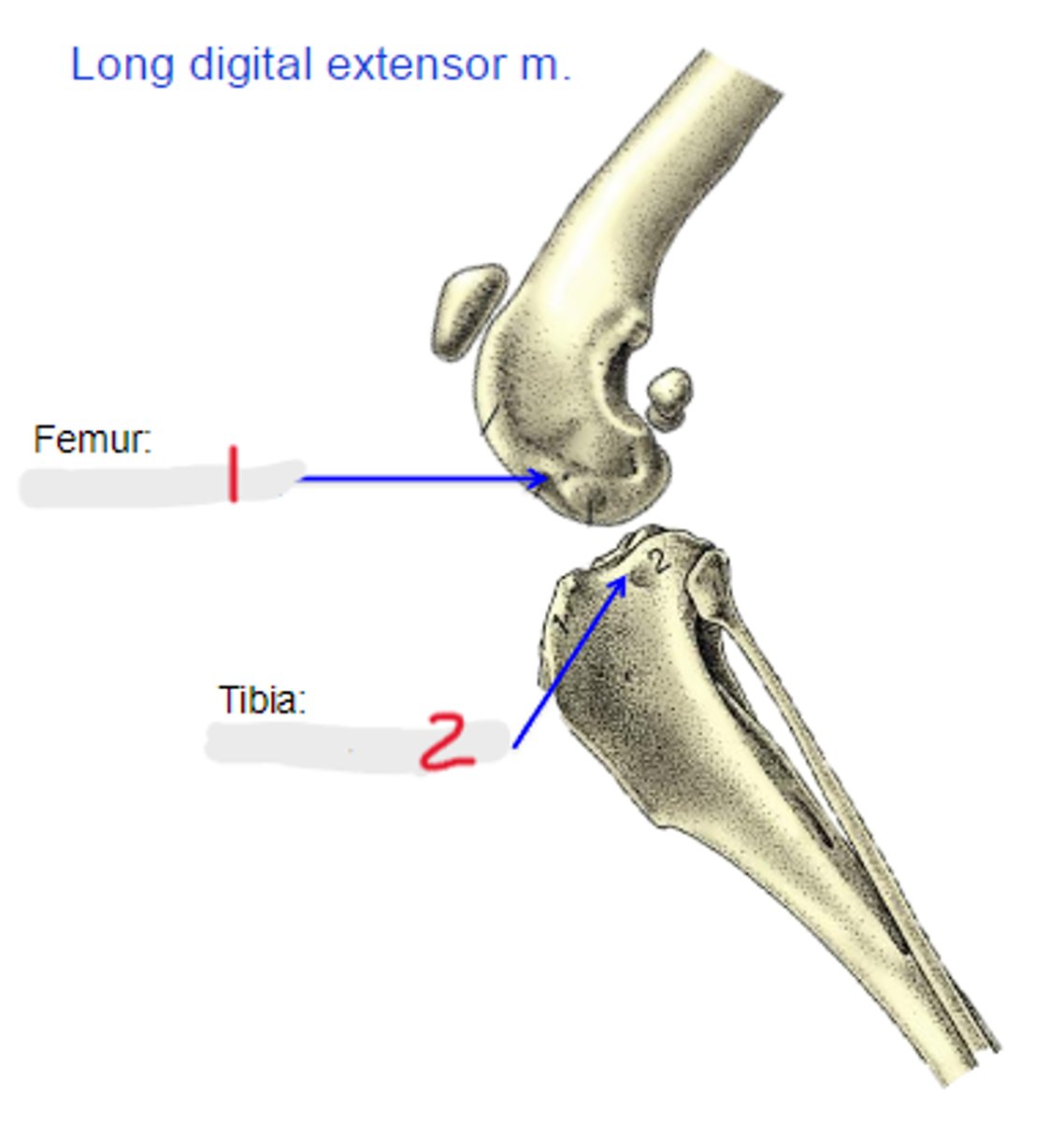 <p>1</p>