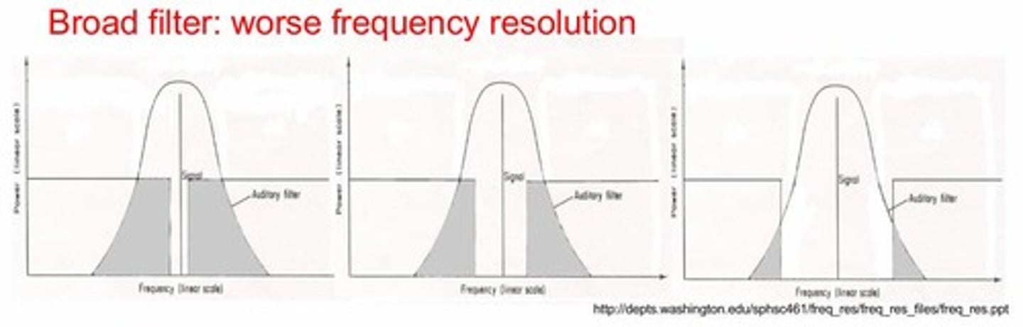 <p>a theoretical model of how the human ear, specifically the cochlea, separates sounds into different frequency bands</p>