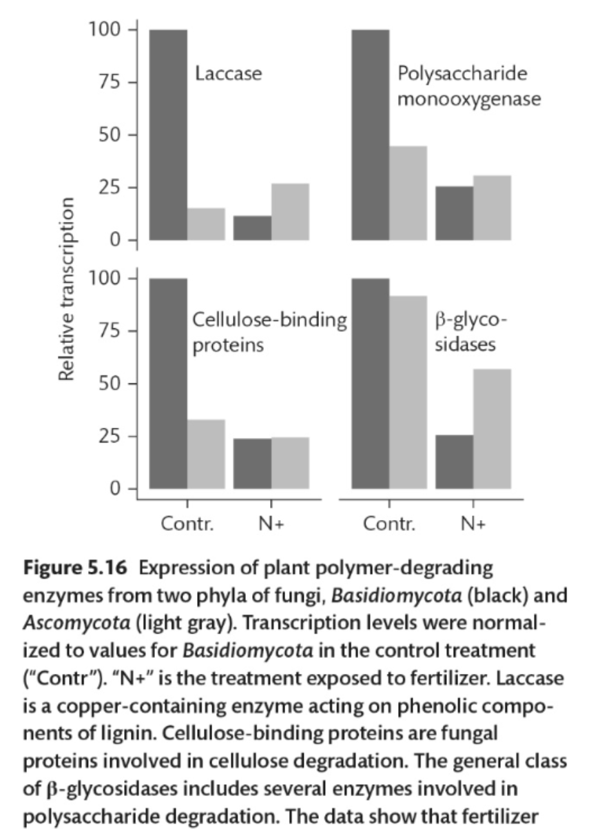 <p>What do the data in this figure show?</p>