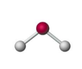 <p><span style="background-color: transparent;">Name the molecular model (name, # of lone pairs):</span></p>