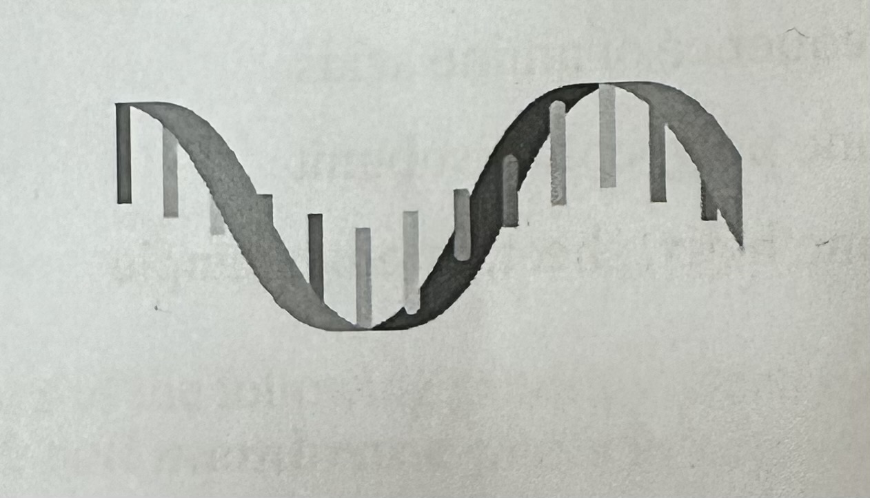 <p>Function: Carries “message” and code to create protein from inside nucleus to ribosome ( copy DNA to make protein )</p><p></p><p>Location: nucleus</p><p>Made in nucleus and goes to ribosome in cytoplasm</p>